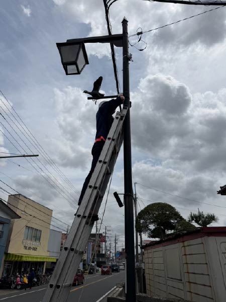 街路灯補修工事